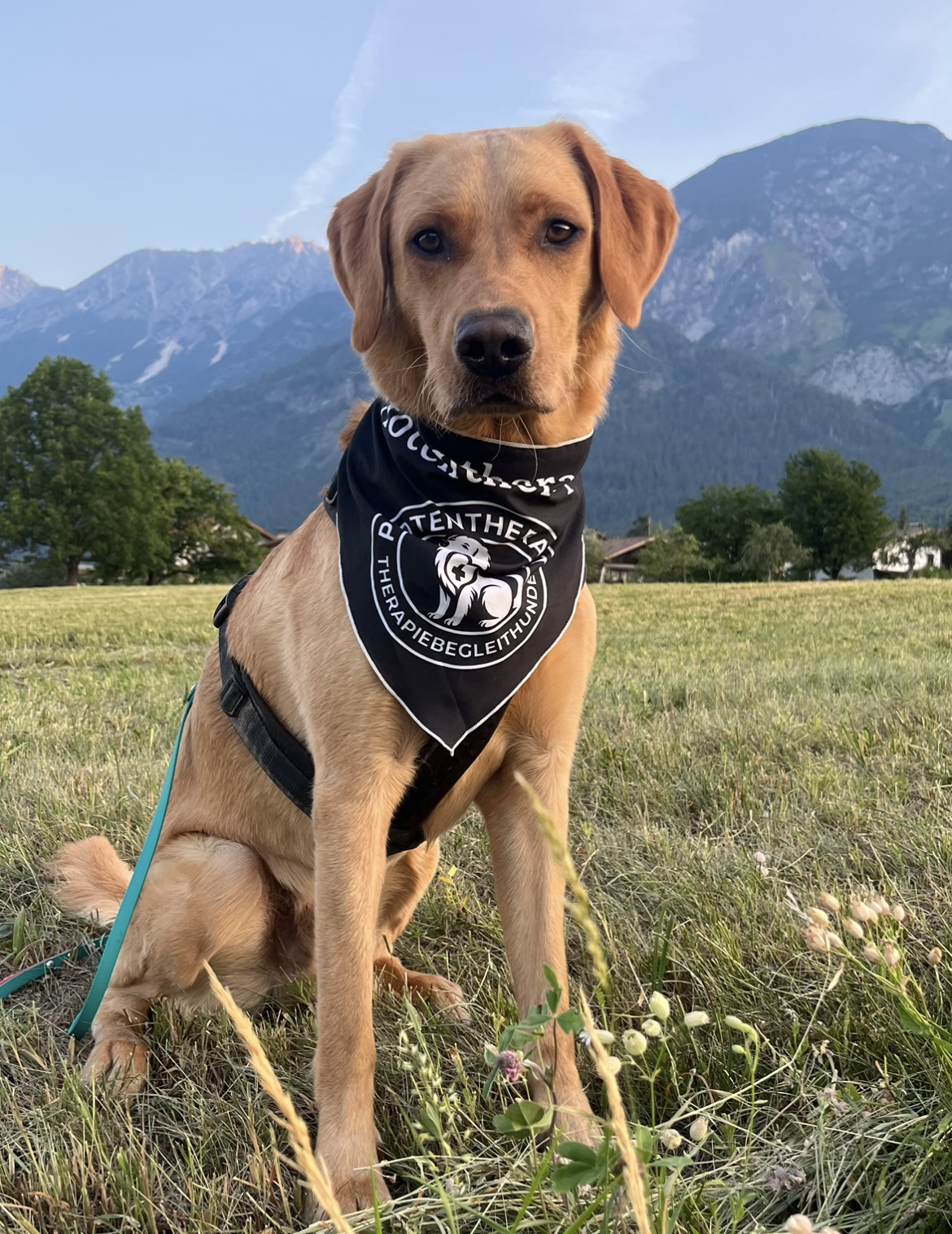 Victoria mit Therapiebegleithund Bruno